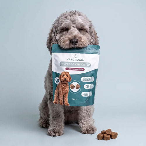 Snacks de NMN para Cães