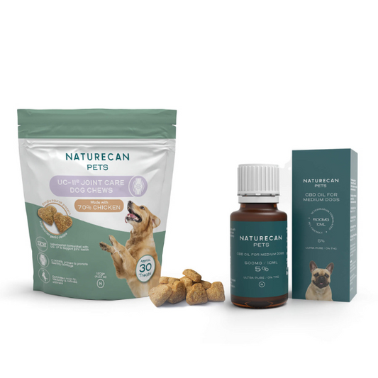 Pack Articulações para Cão