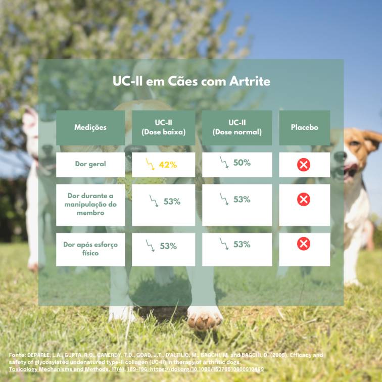 Snacks Articulares para Cão UC-II®