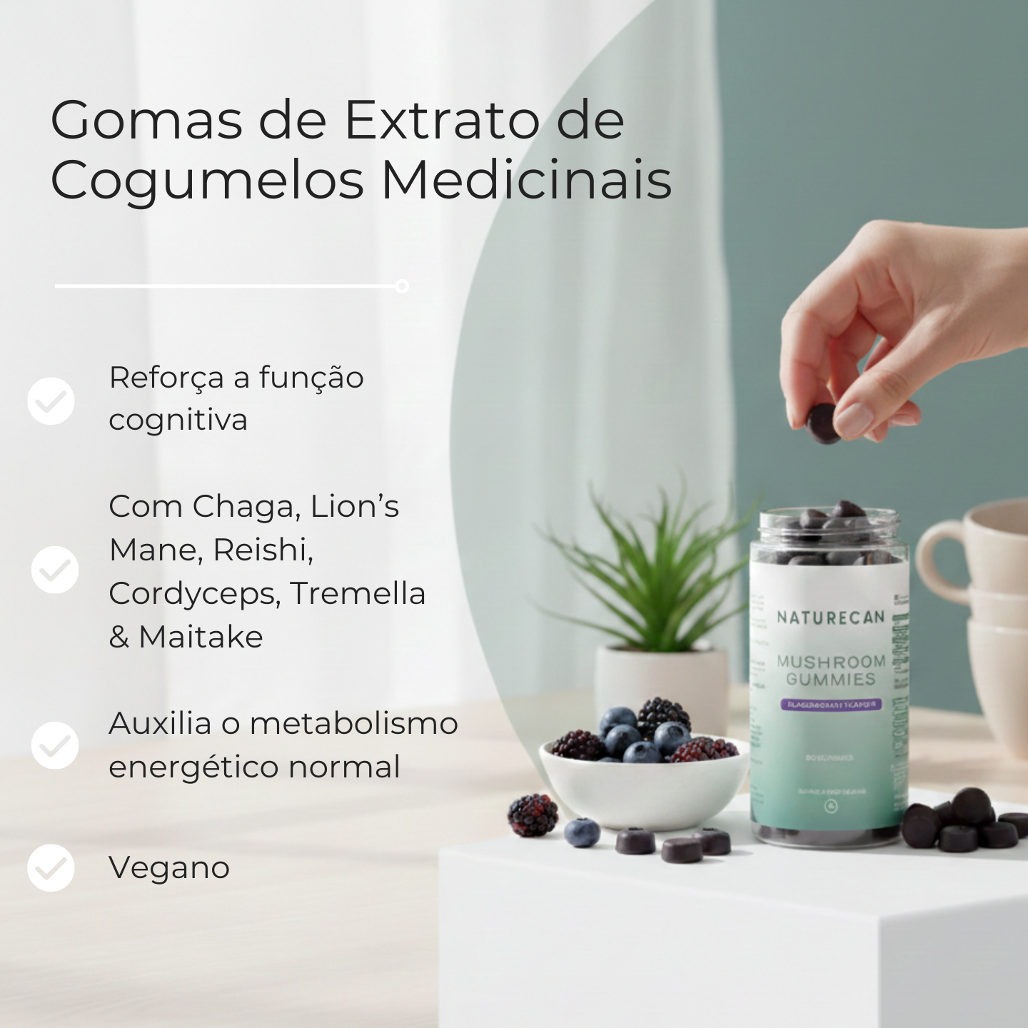 Gomas de Extrato de Cogumelos Medicinais