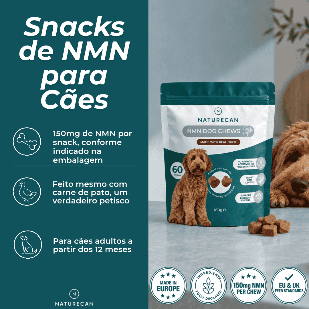 Snacks de NMN para Cães