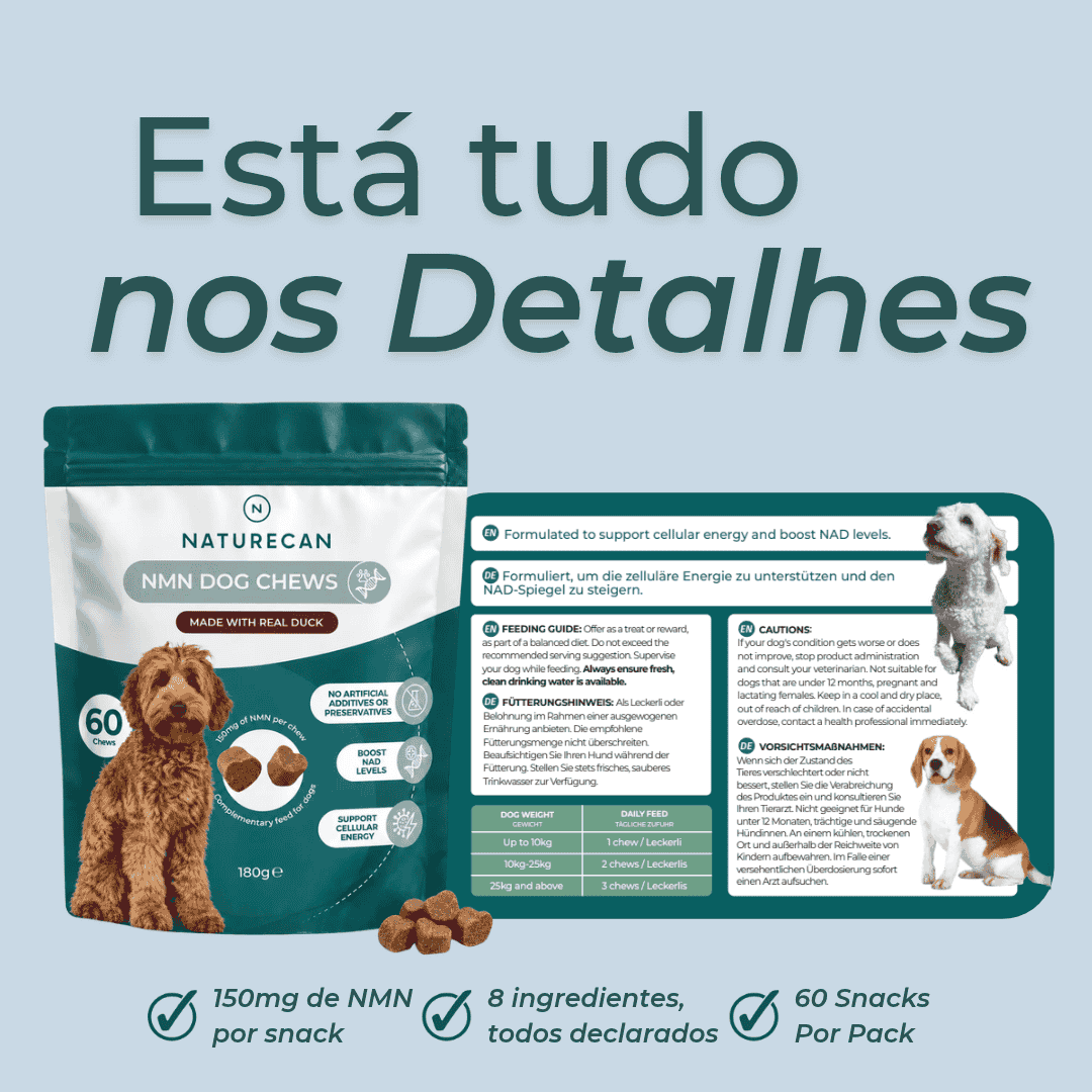 Snacks de NMN para Cães