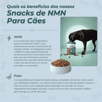 Snacks de NMN para Cães
