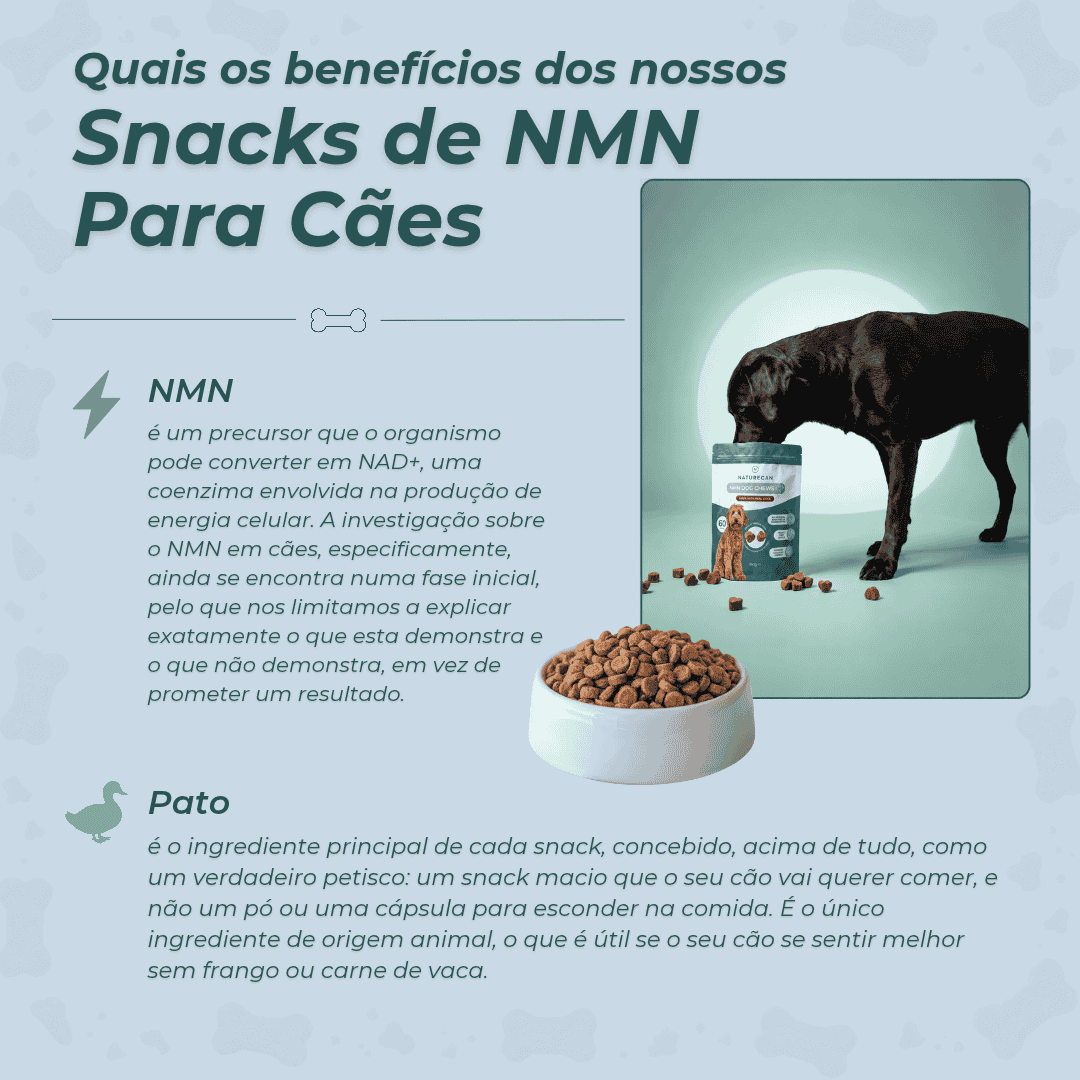 Snacks de NMN para Cães