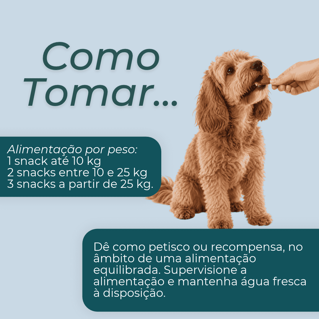 Snacks de NMN para Cães