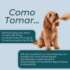 Snacks de NMN para Cães