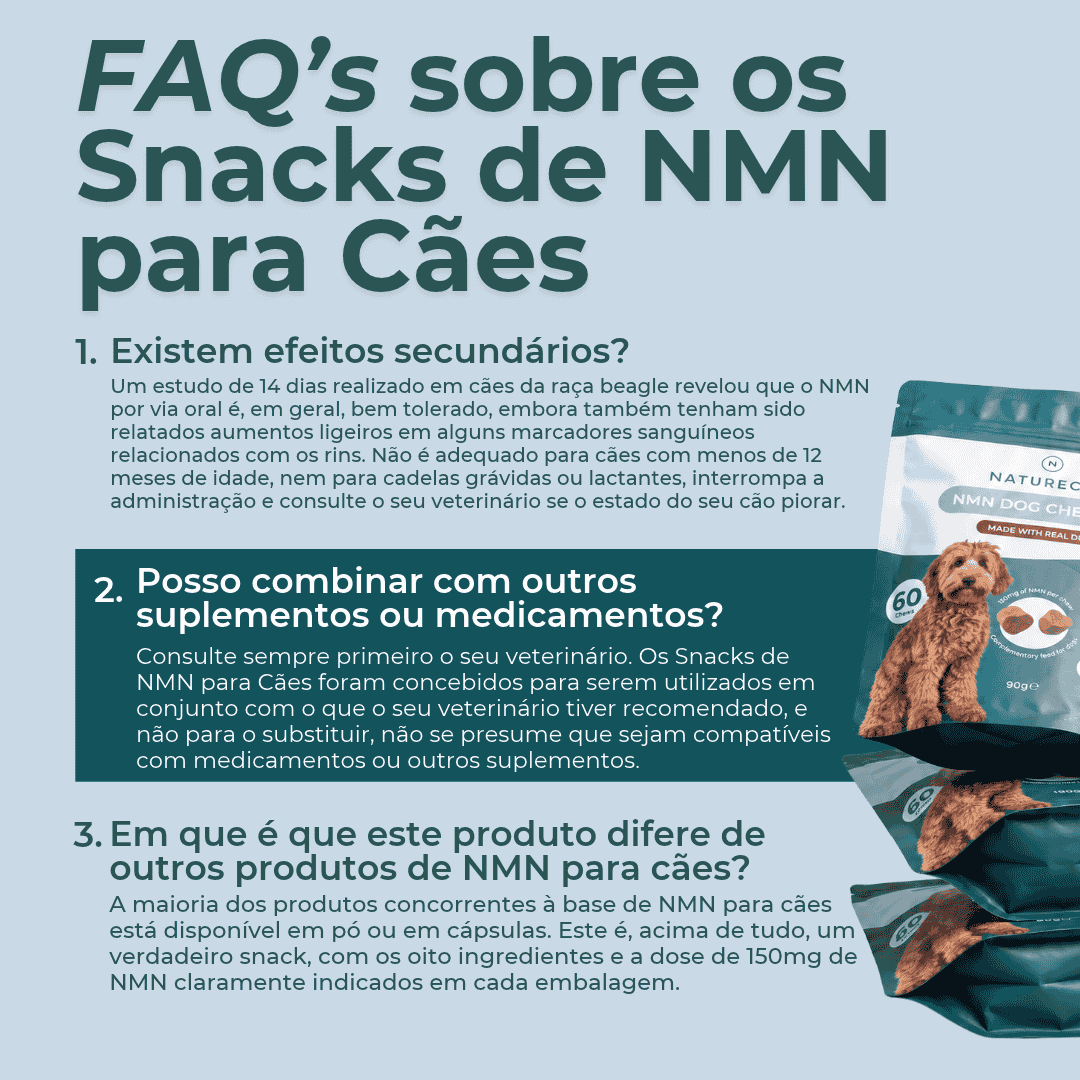 Snacks de NMN para Cães