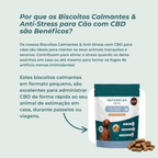 Biscoitos Calmantes & Anti-Stress para Cão com CBD