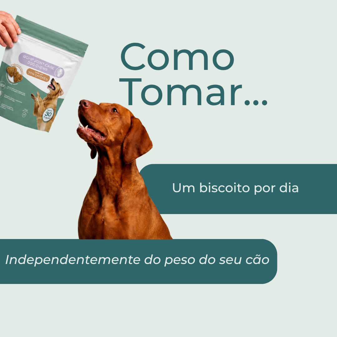 Snacks Articulares para Cão UC-II®