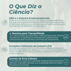 cbd para cão