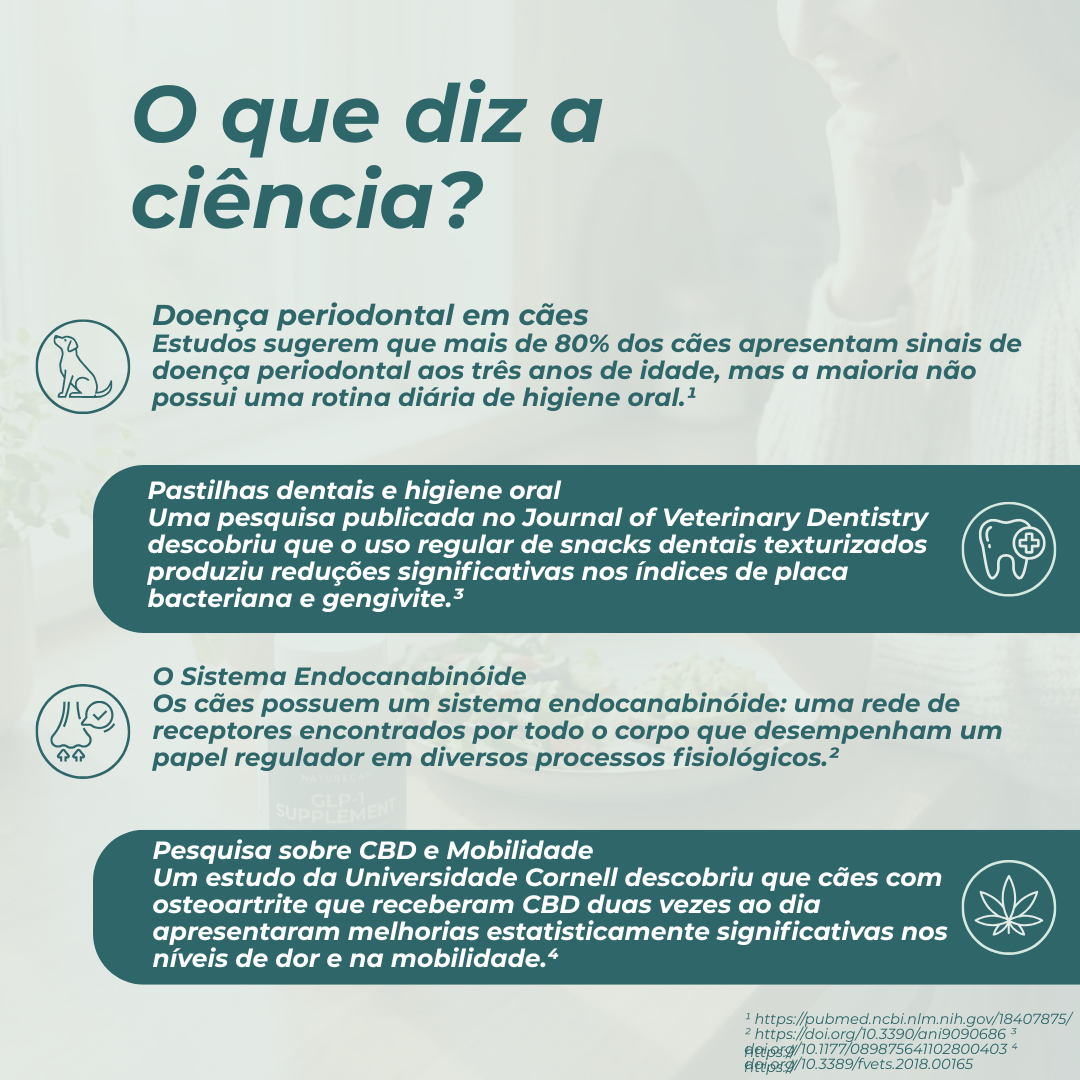 Sticks Dentais com CBD para Cães e a ciência