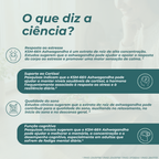 Ashwagandha KSM-66® benefícios