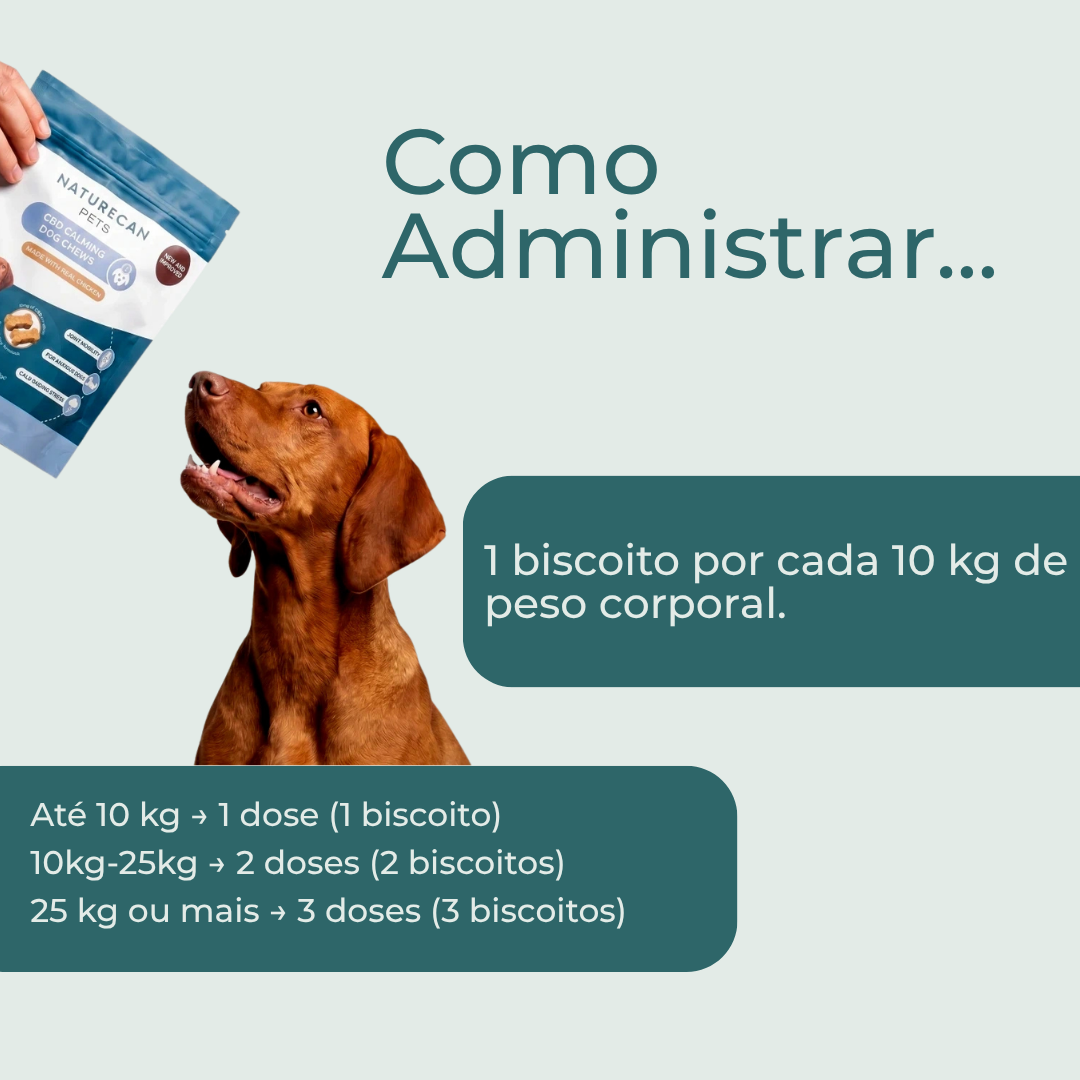cbd para cão
