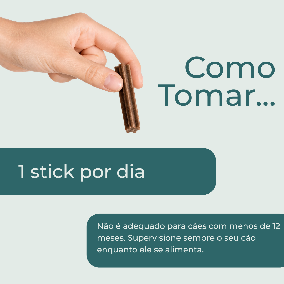 Sticks Dentais com CBD para Cães como tomar