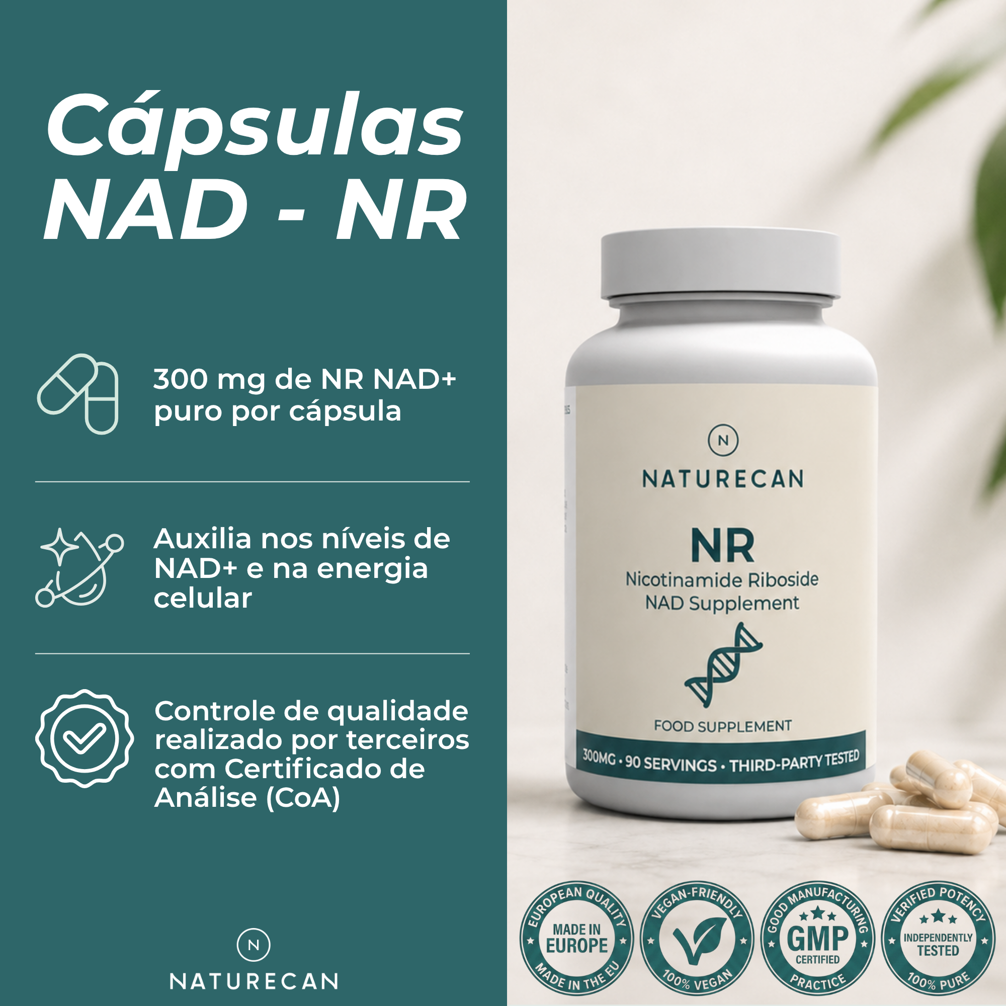 NAD (Ribosídeo de Nicotinamida) benefícios