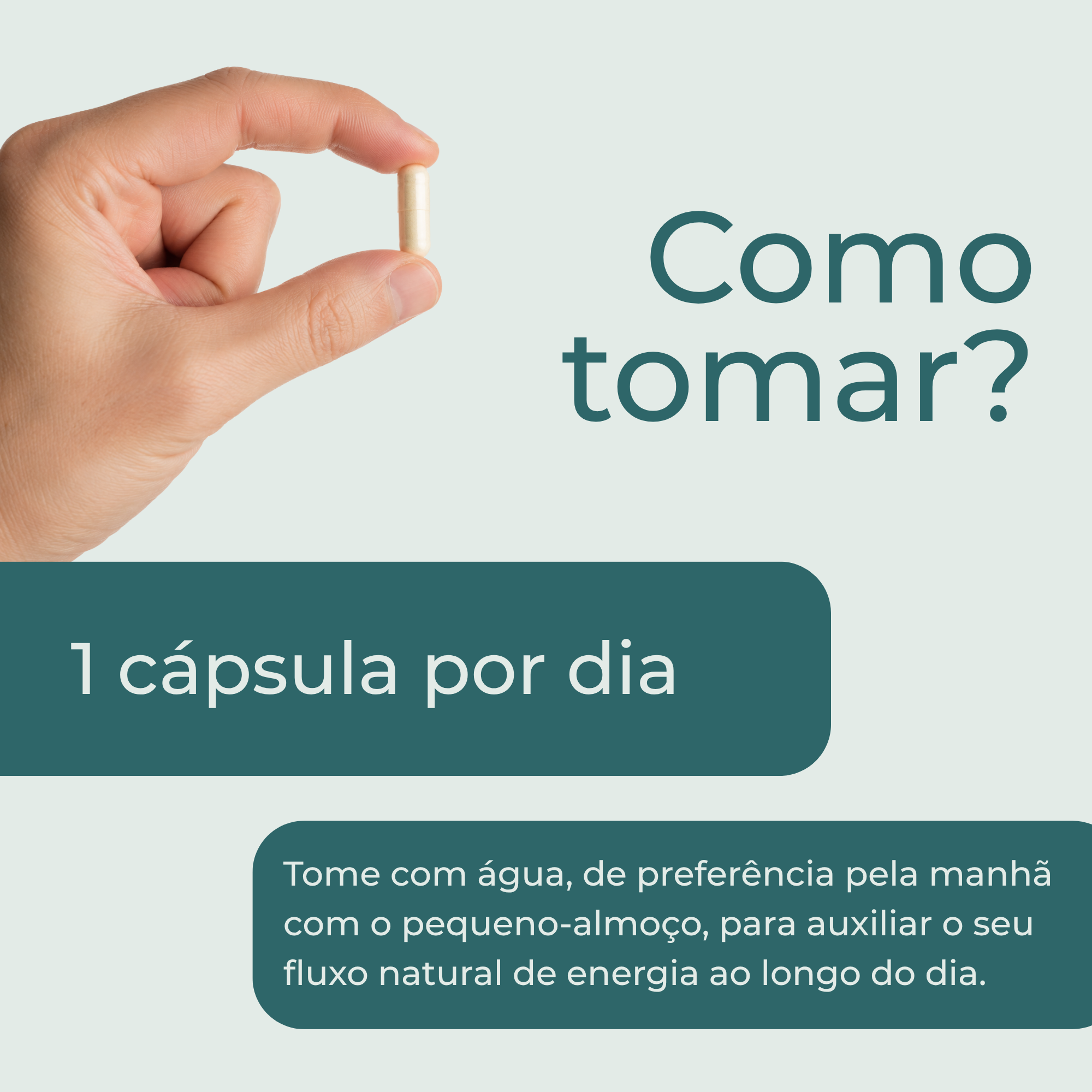 NAD (Ribosídeo de Nicotinamida) como tomar