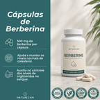 Berberina benefícios