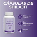 Infográfico Shilajit