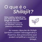 Infográfico Shilajit_2