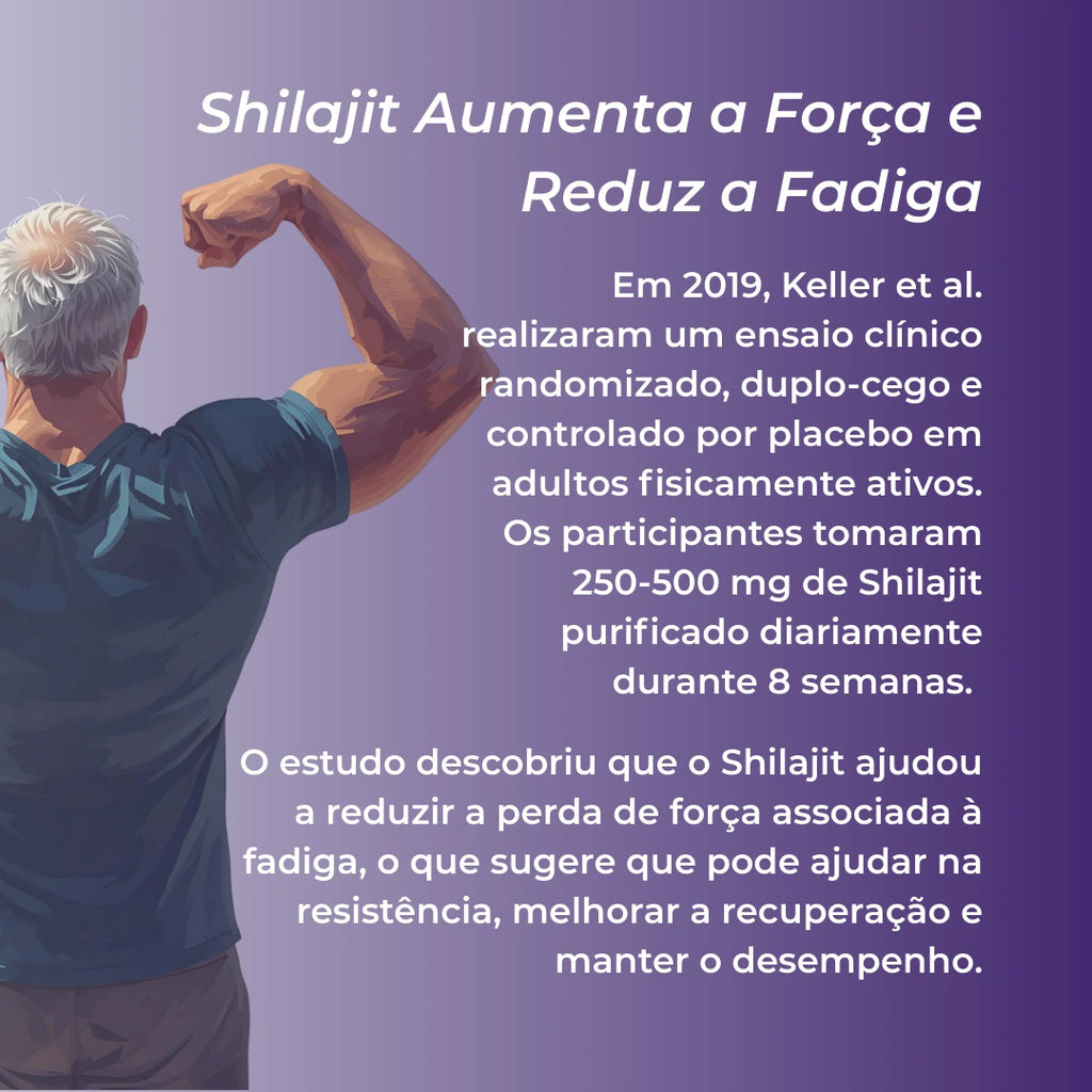 Infográfico Shilajit_4