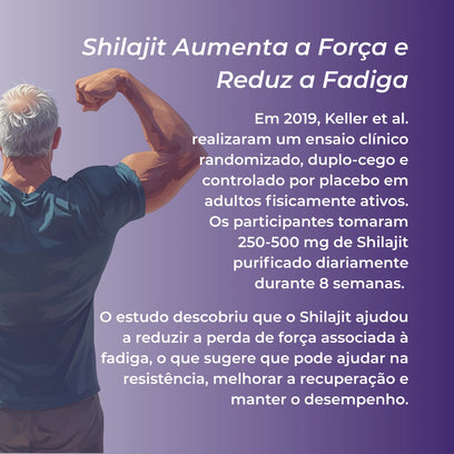 Infográfico Shilajit_4