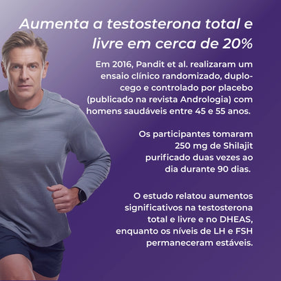 Infográfico Shilajit_