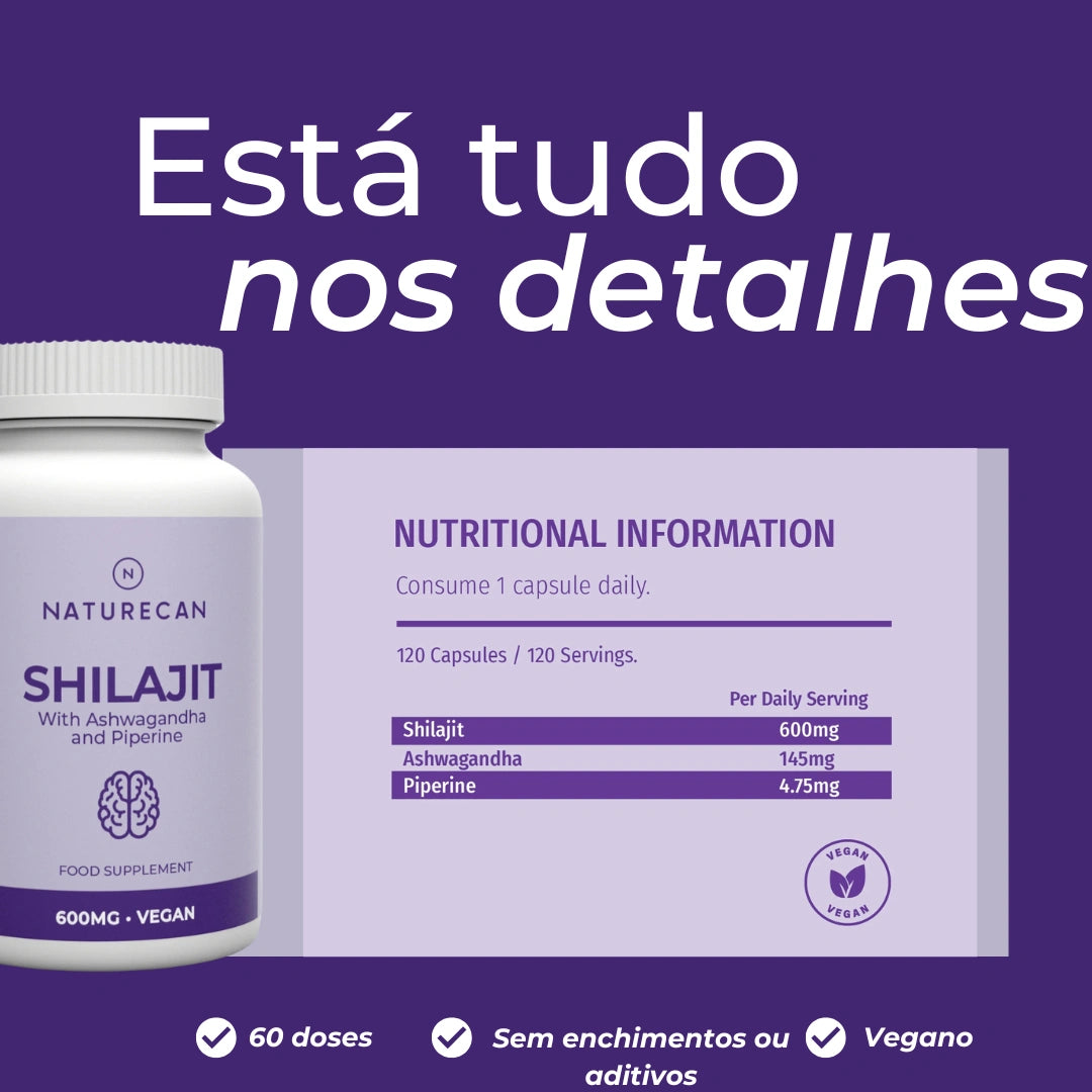 Infográfico Shilajit_6