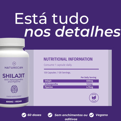 Infográfico Shilajit_6