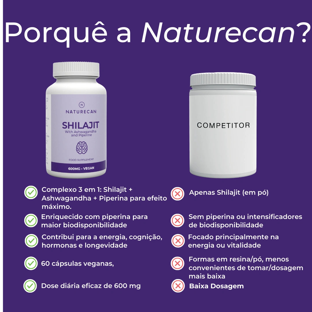 Infográfico Shilajit_8