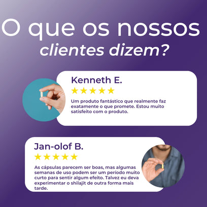 Infográfico Shilajit_9