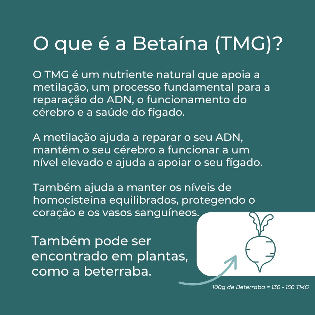 TMG Infografico_2
