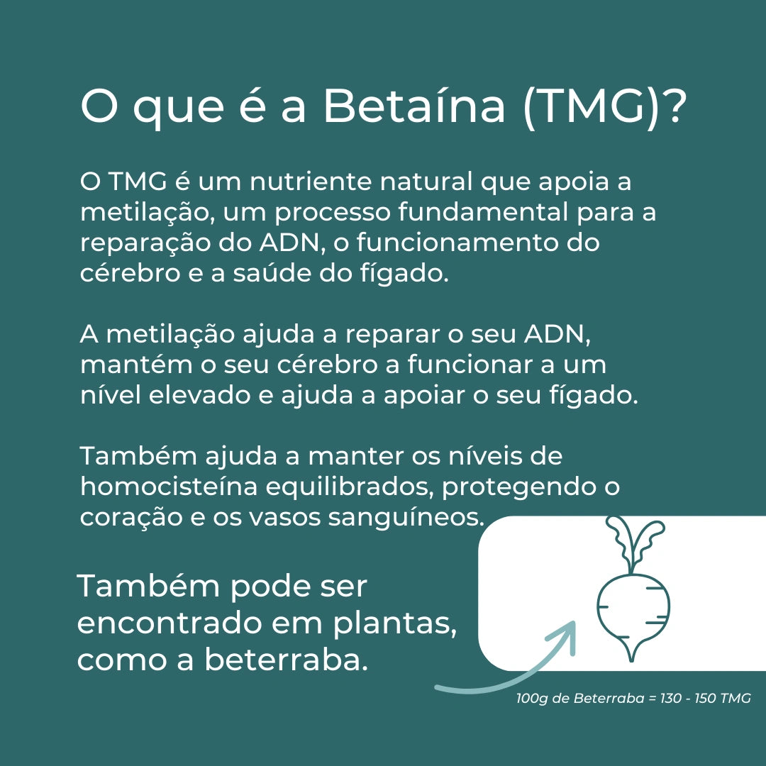 TMG Infografico_2