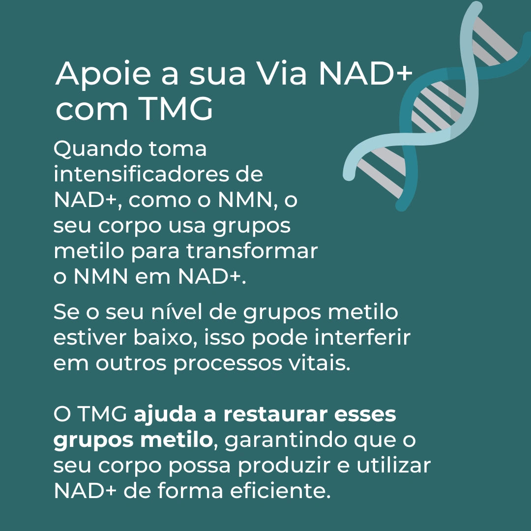 TMG Infografico_3