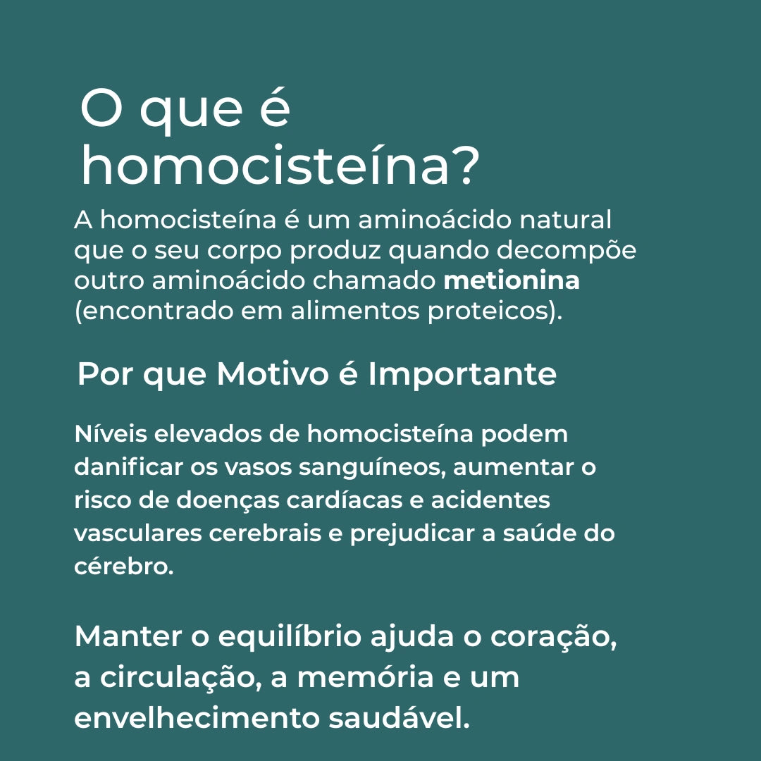 TMG Infografico_4