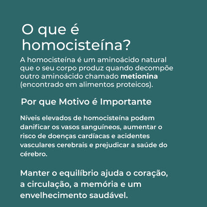 TMG Infografico_4