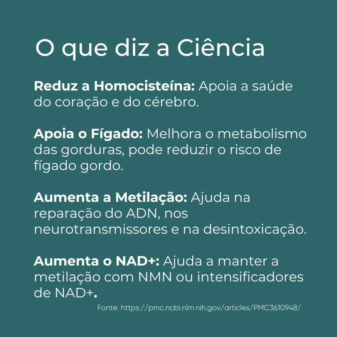 TMG Infografico_5