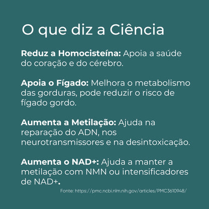 TMG Infografico_5