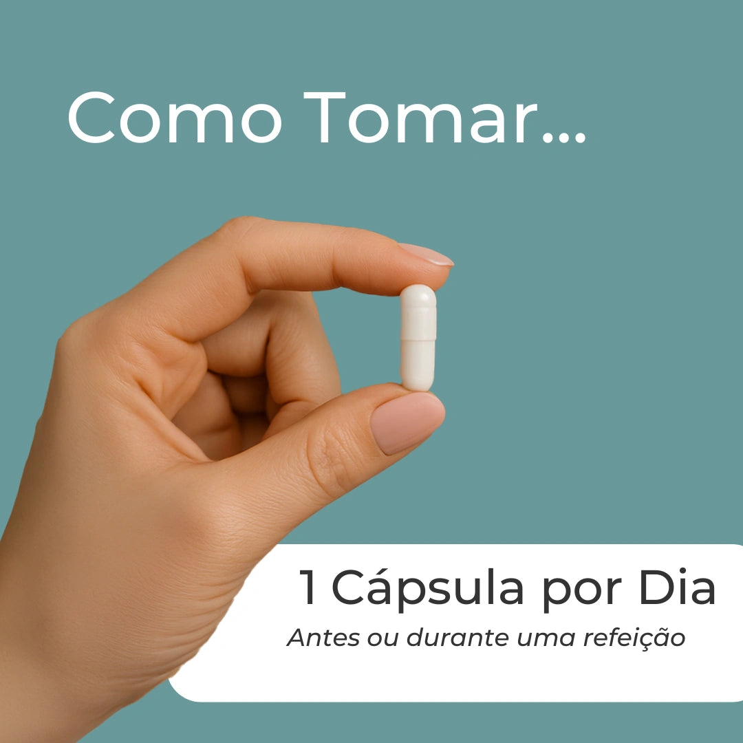 TMG Infografico_7