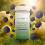 Gomas de Cogumelo Lion’s Mane (Juba de Leão)