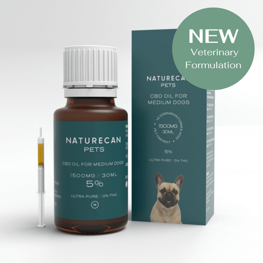 óleo de cbd para cães 5%