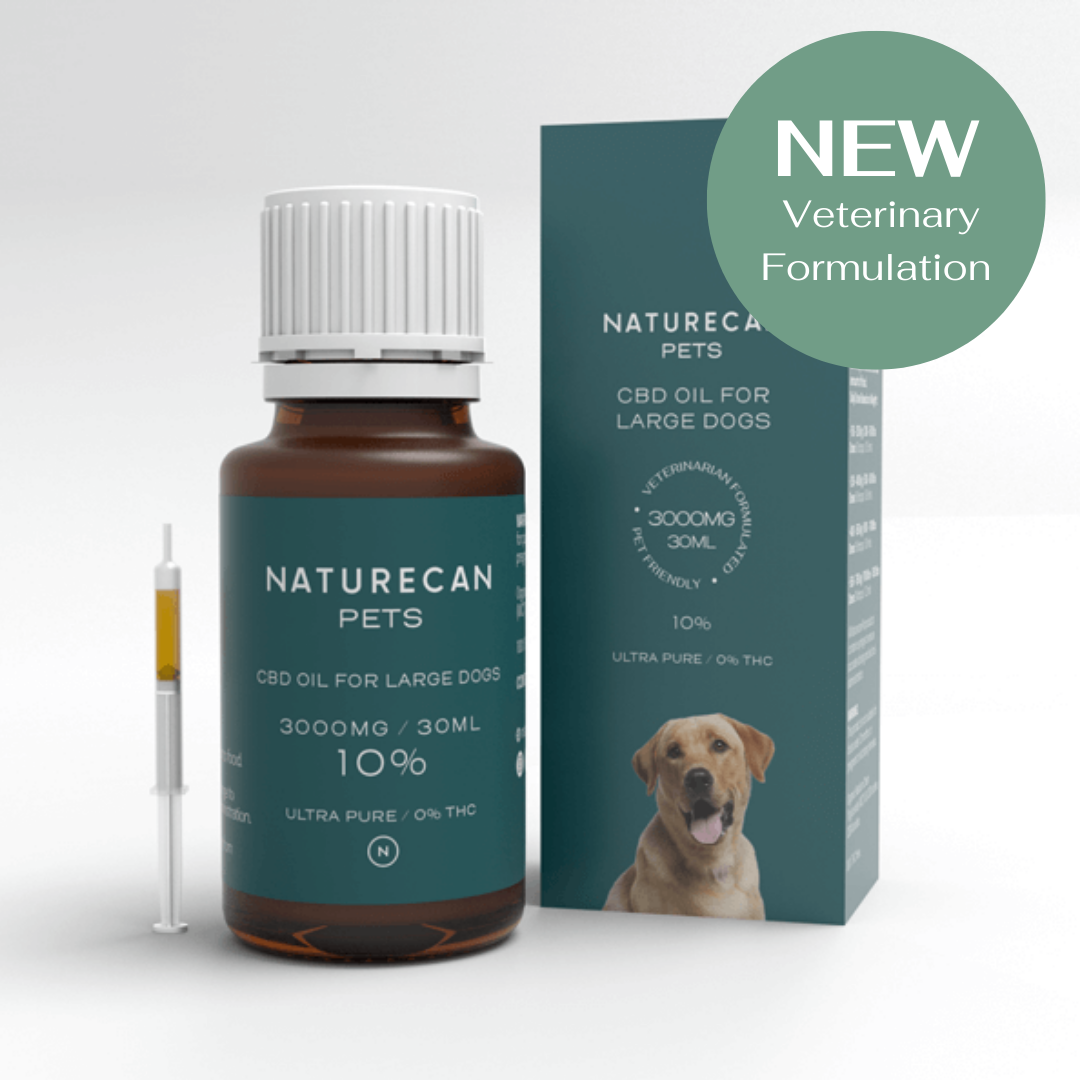 óleo de cbd para cães 10%